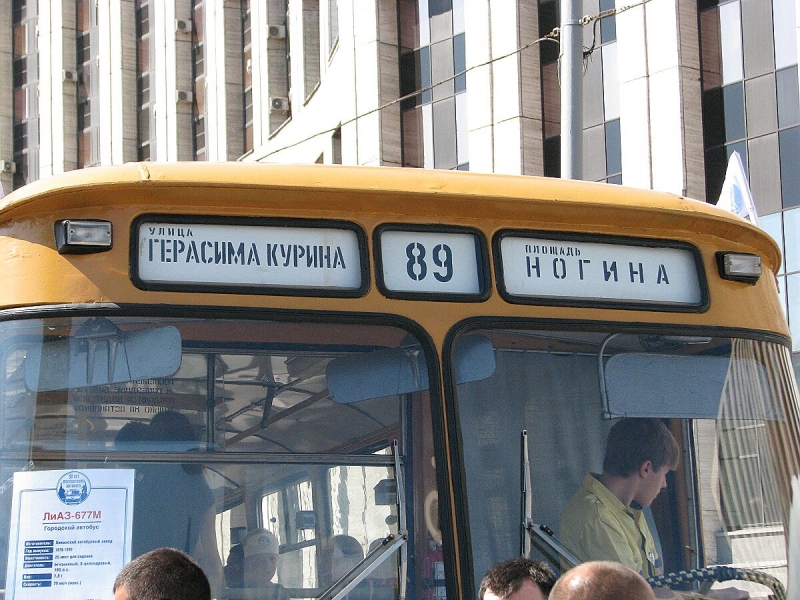 Умная морда... автобуса!_1