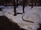 Зима. Кабель_2