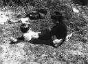 Photo 49
